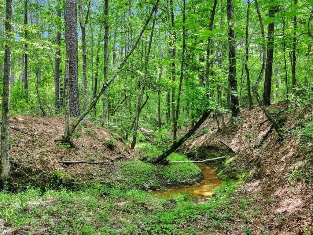 22 acres in Angelina County - photo 3