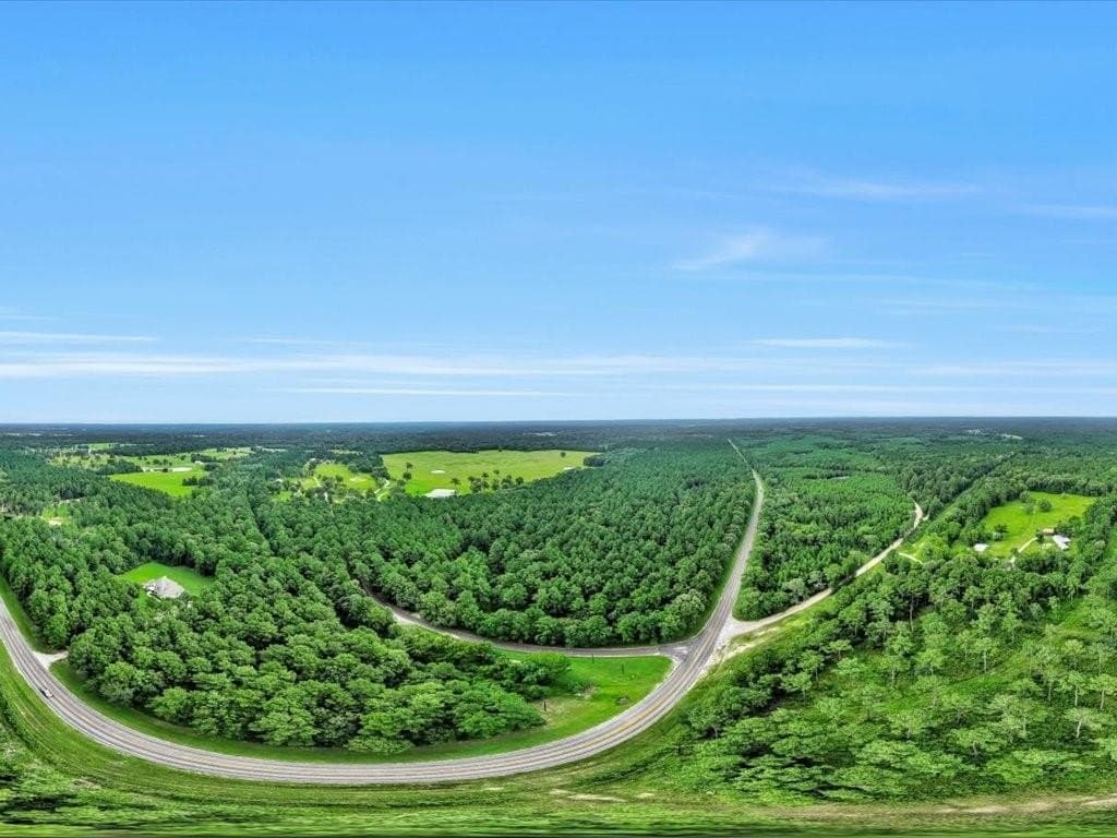 22 acres in Angelina County - photo 22