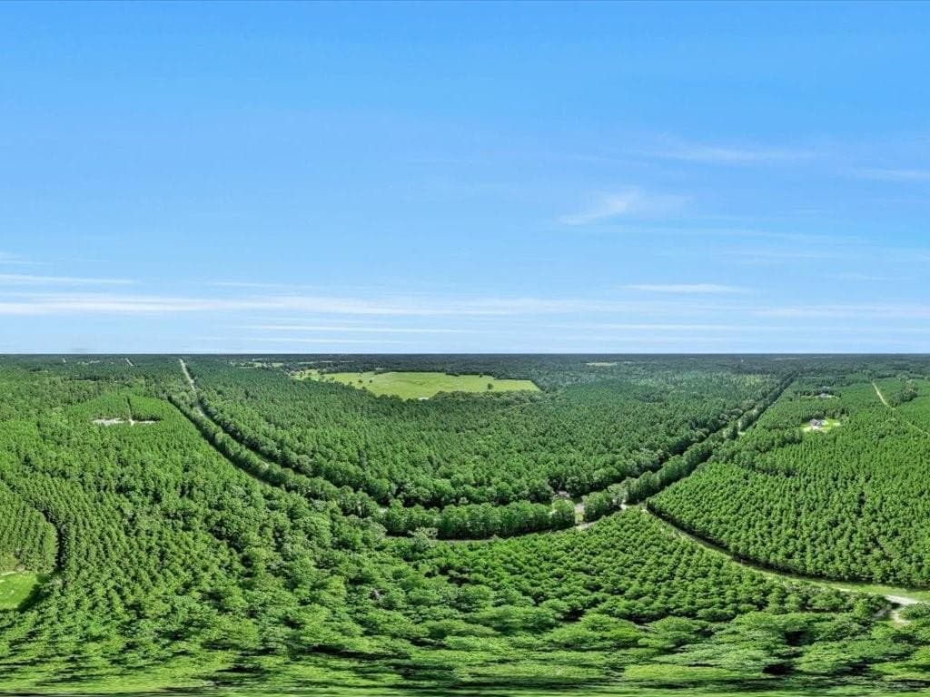 22 acres in Angelina County - photo 23