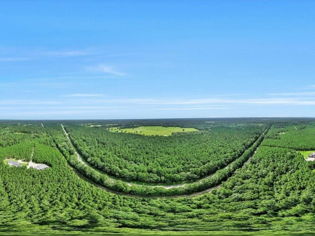 22 acres in Angelina County - photo 21