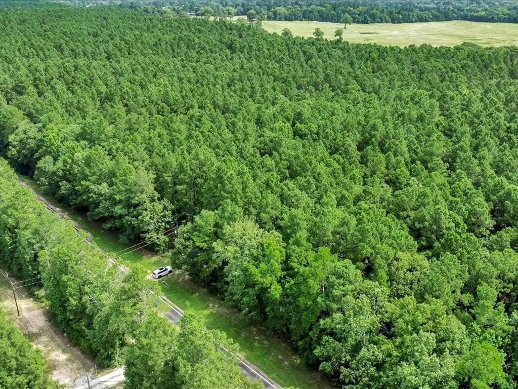 22 acres in Angelina County - photo 10