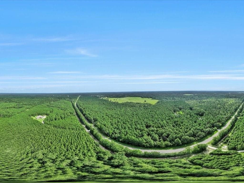 22 acres in Angelina County - photo 20