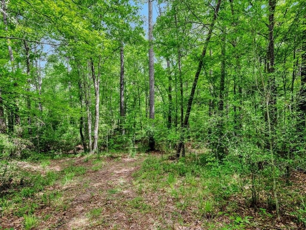 22 acres in Angelina County - photo 2