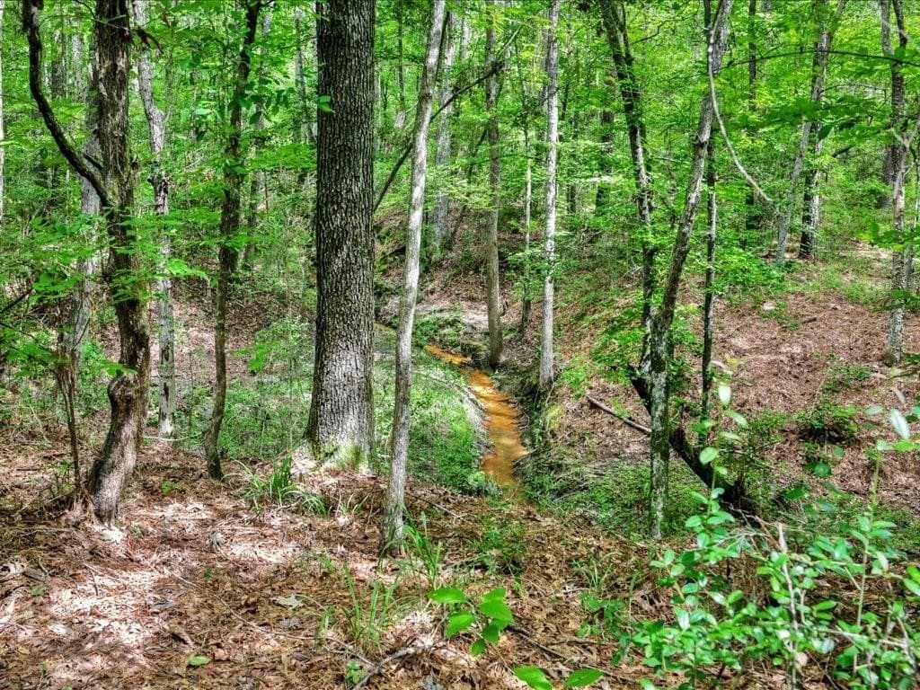 22 acres in Angelina County - photo 4