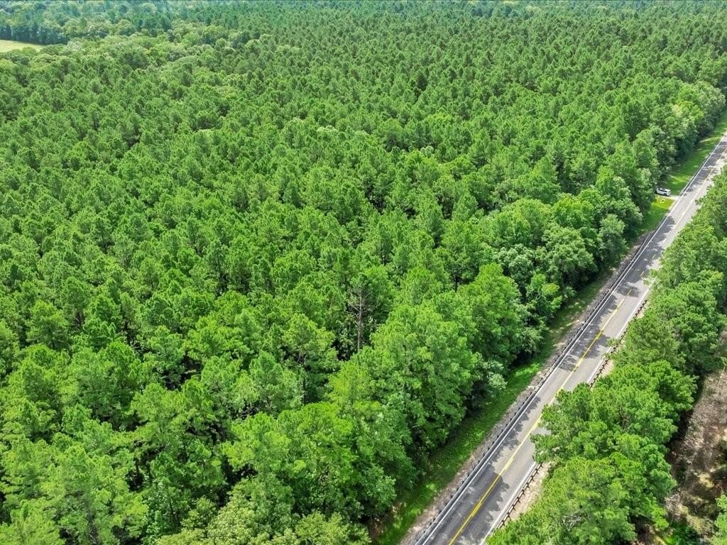 22 acres in Angelina County - photo 13