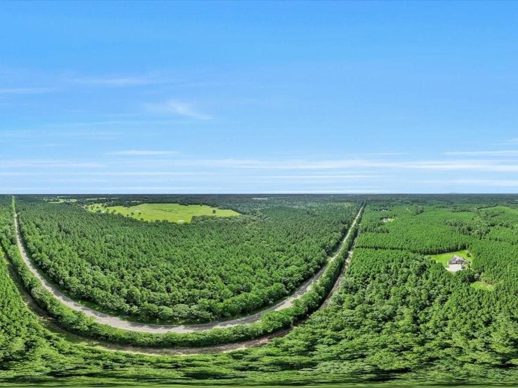 22 acres in Angelina County - photo 19