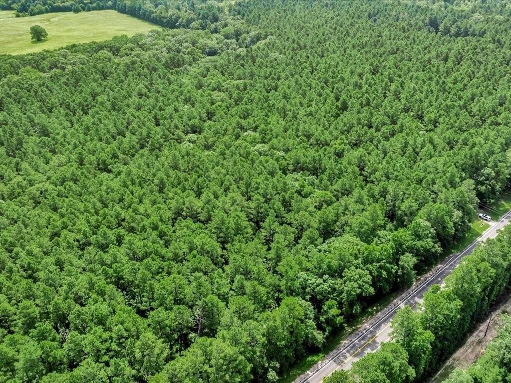 22 acres in Angelina County - photo 12
