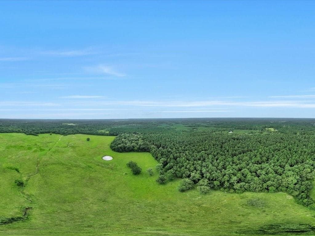 22 acres in Angelina County - photo 18