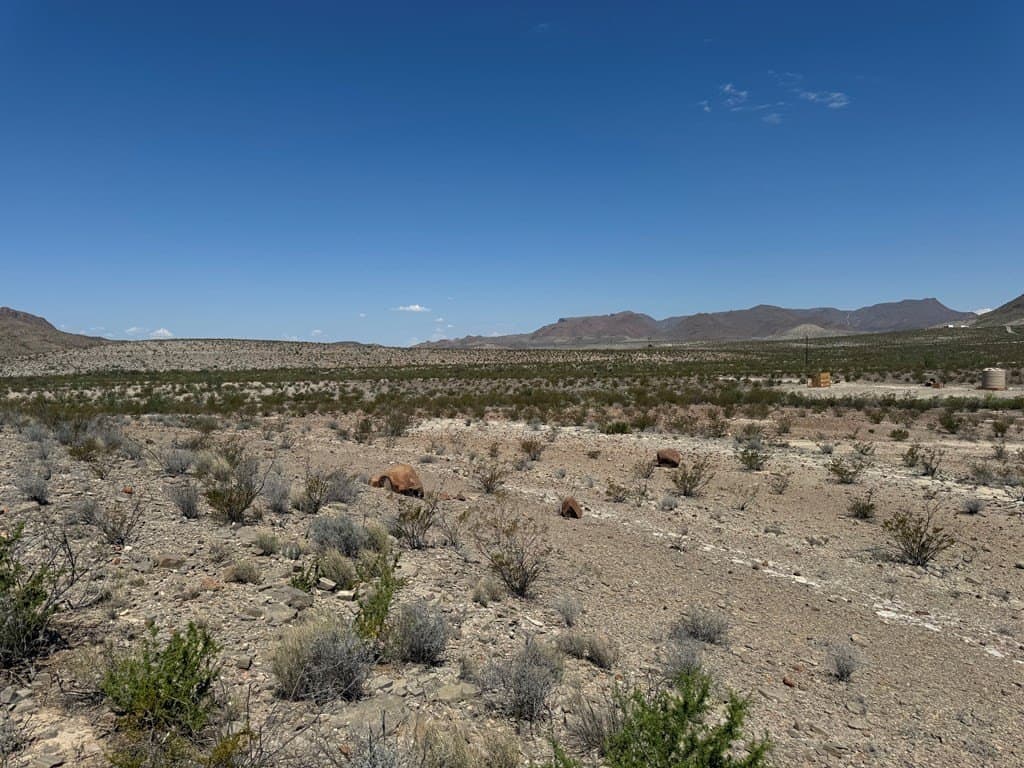 5.2 acres in Brewster County - photo 3