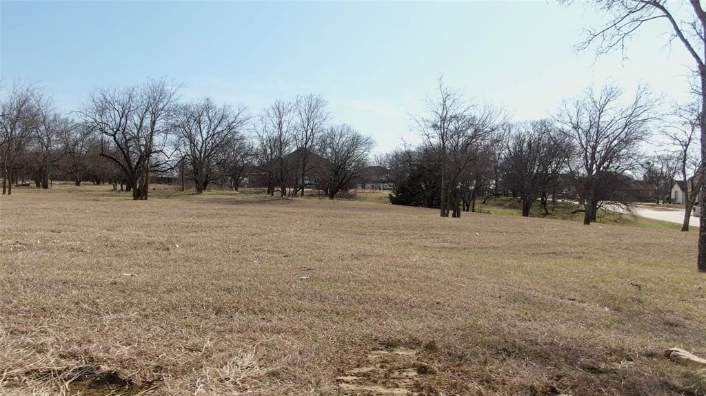 1.03 acres in Dallas County - photo 3