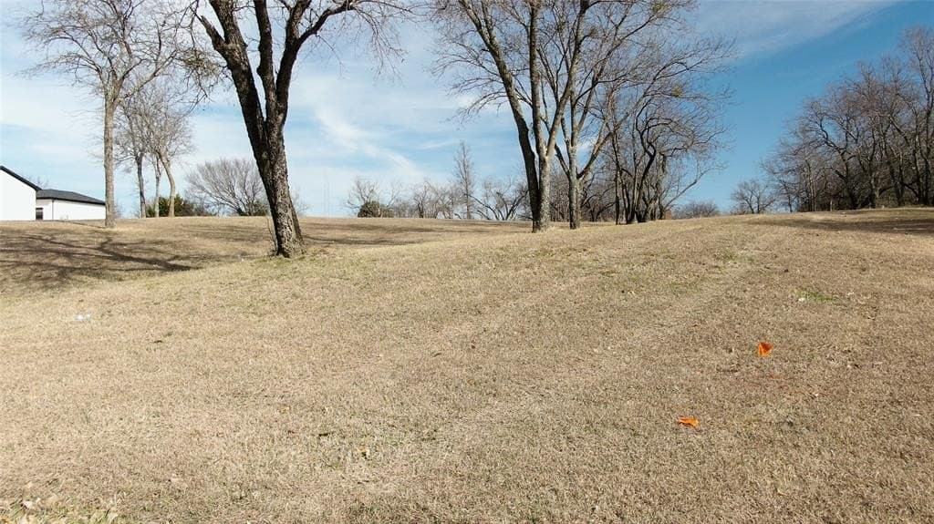 1.03 acres in Dallas County - photo 2