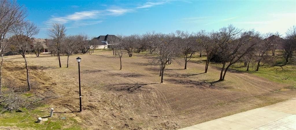 1.03 acres in Dallas County - photo 4