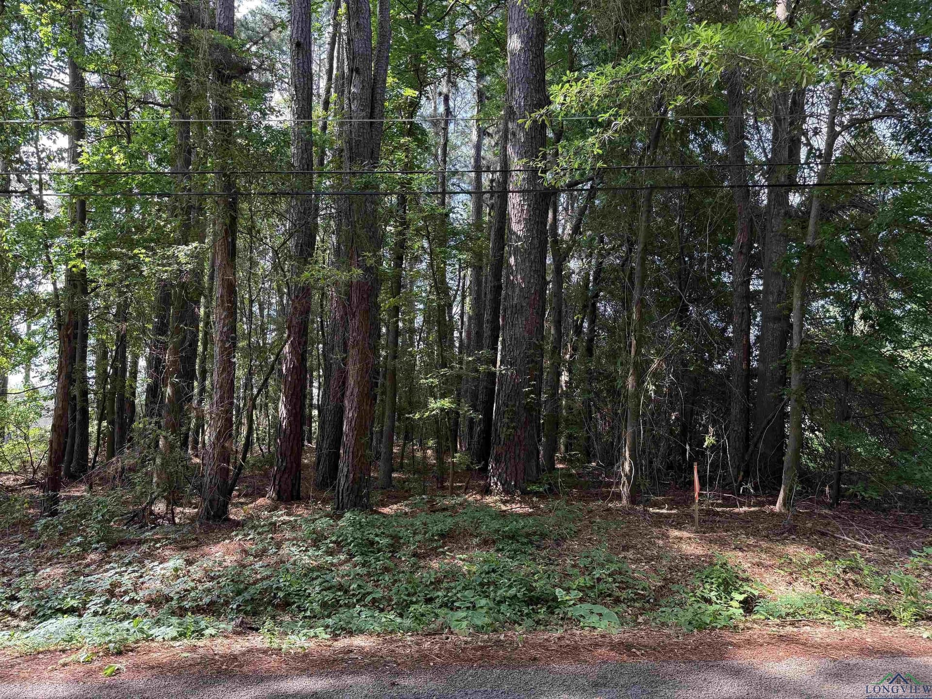 0.42 acres in Gregg County - photo 2