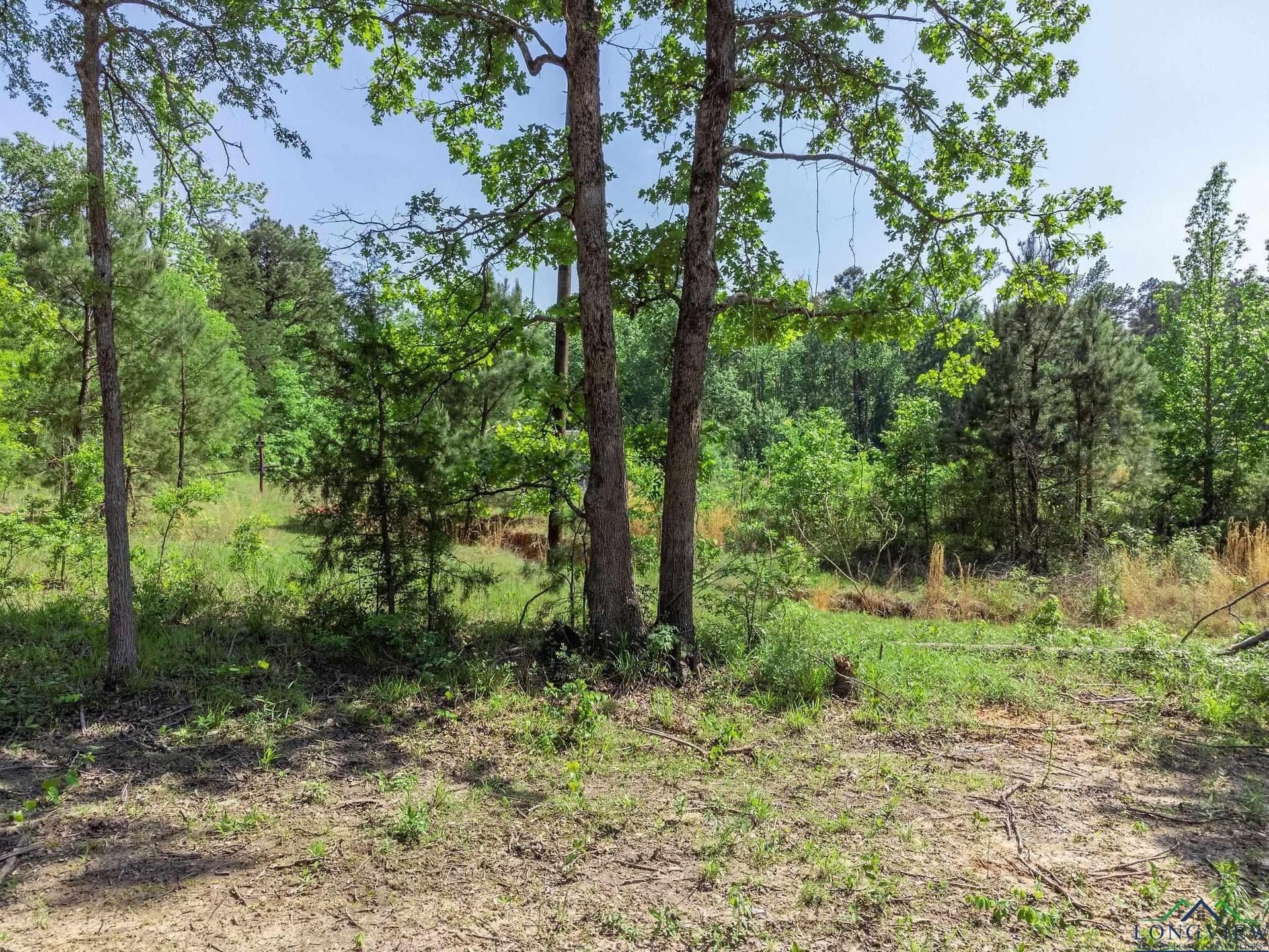 0.7 acres in Texas County - photo 14