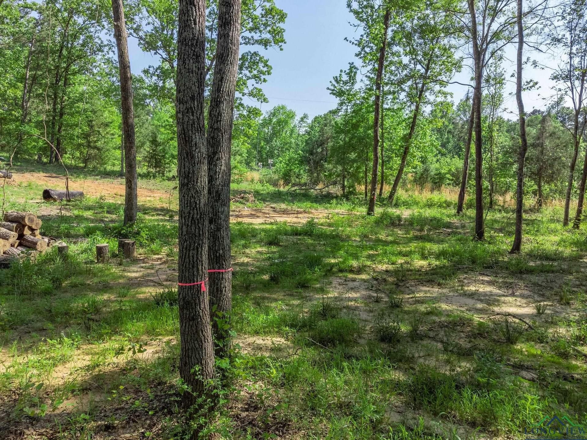 0.7 acres in Texas County - photo 21