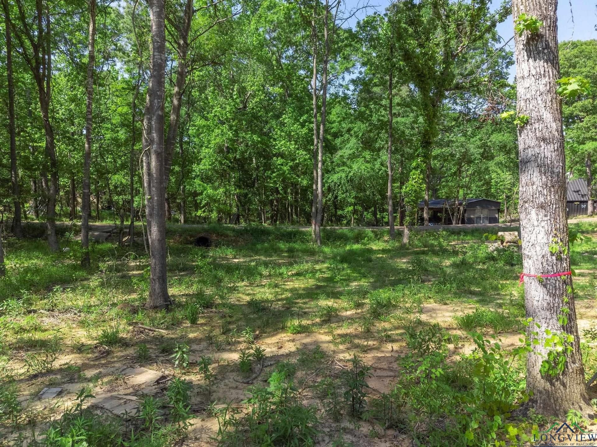 0.7 acres in Texas County - photo 22