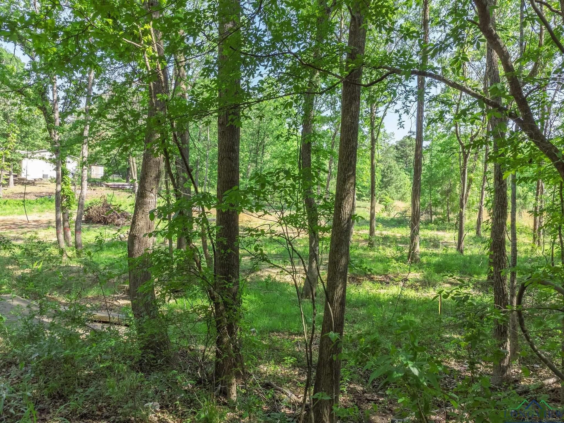 0.7 acres in Texas County - photo 20