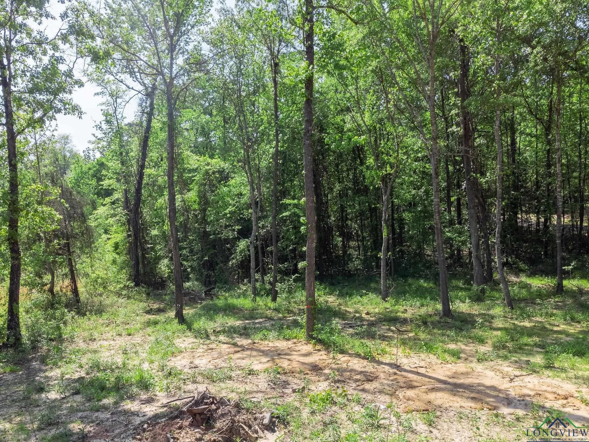 0.7 acres in Texas County - photo 13