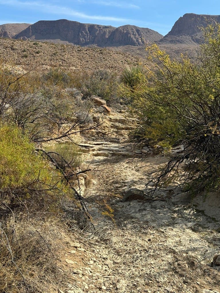 20 acres in Brewster County - photo 8