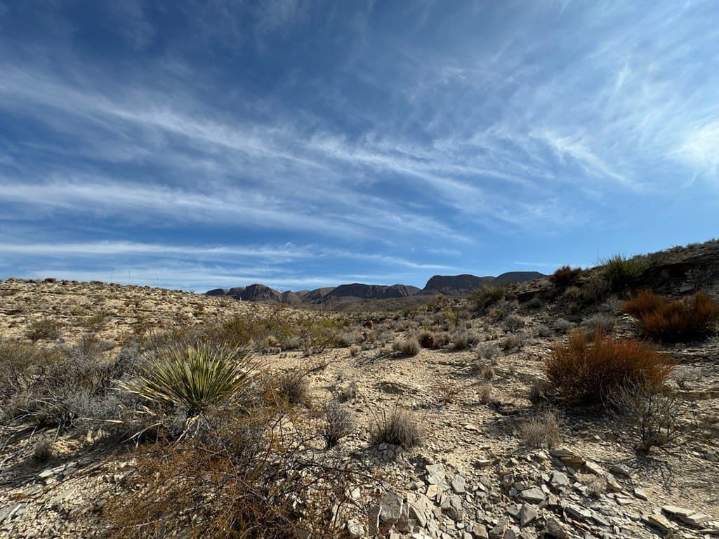 20 acres in Brewster County - photo 5