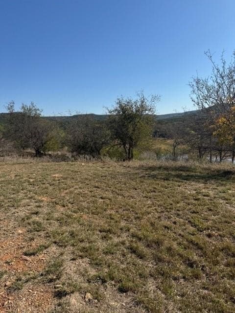 9.92 acres in Palo Pinto County - photo 5