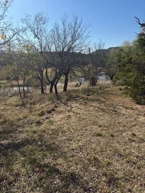 9.92 acres in Palo Pinto County - photo 6