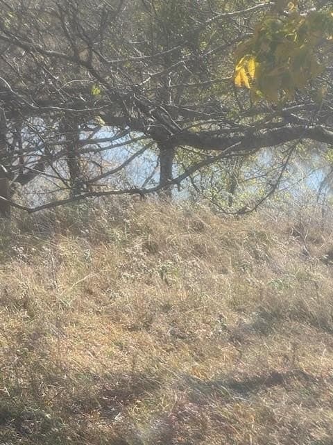 9.92 acres in Palo Pinto County - photo 2