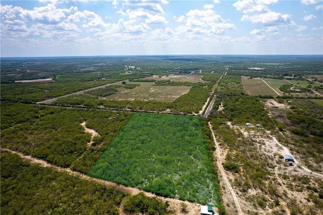 10.81 acres in Live Oak County - photo 5