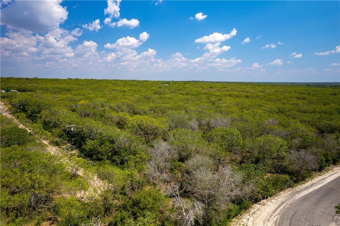 10.81 acres in Live Oak County - photo 14
