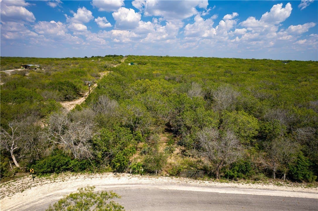 10.81 acres in Live Oak County - photo 16