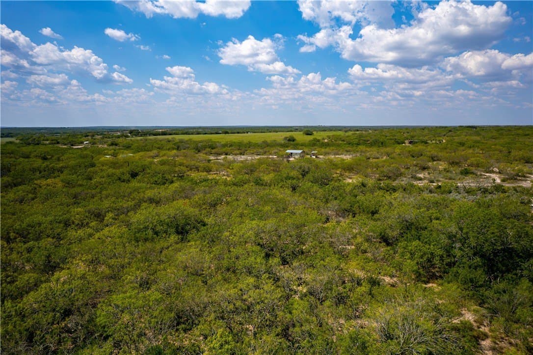 10.81 acres in Live Oak County - photo 24