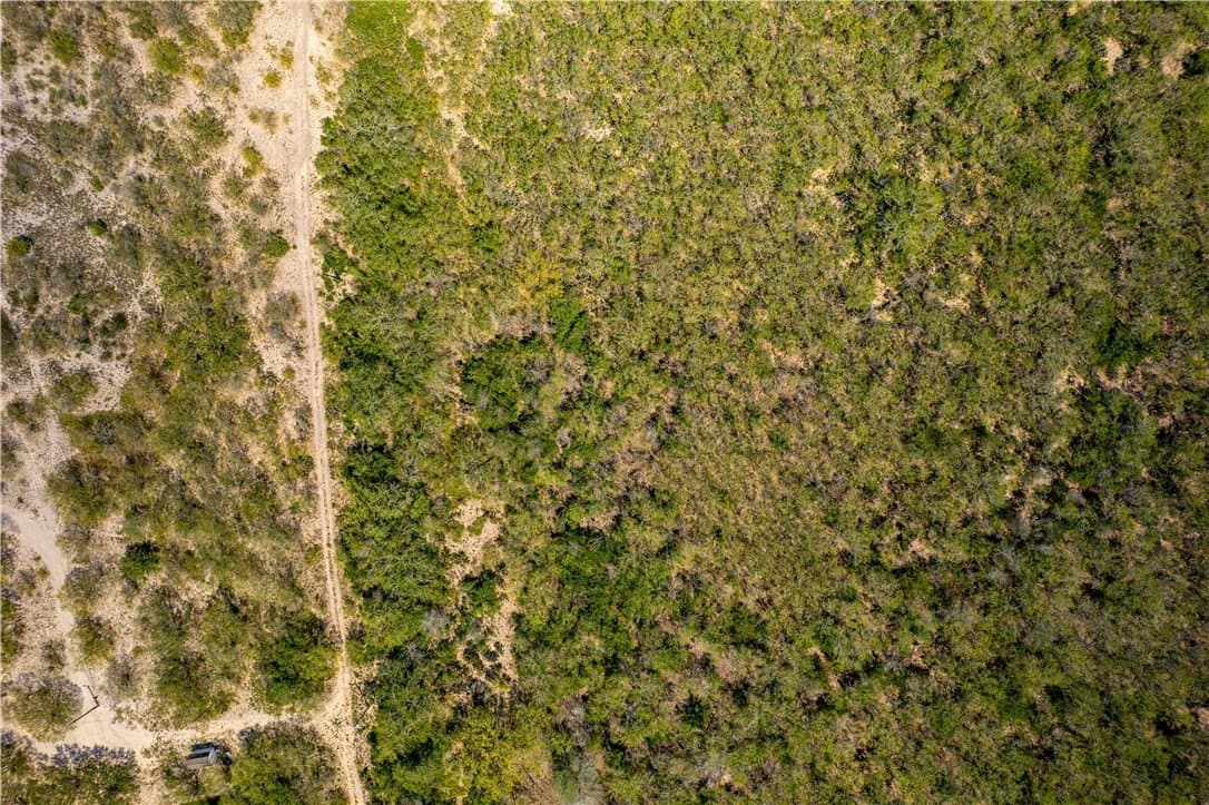 10.81 acres in Live Oak County - photo 19