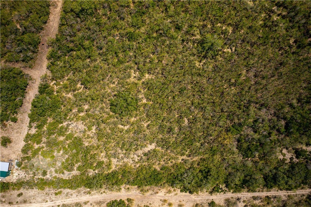 10.81 acres in Live Oak County - photo 8
