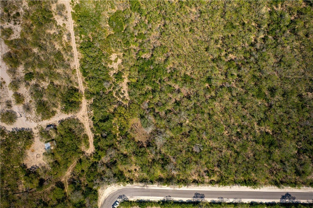 10.81 acres in Live Oak County - photo 7