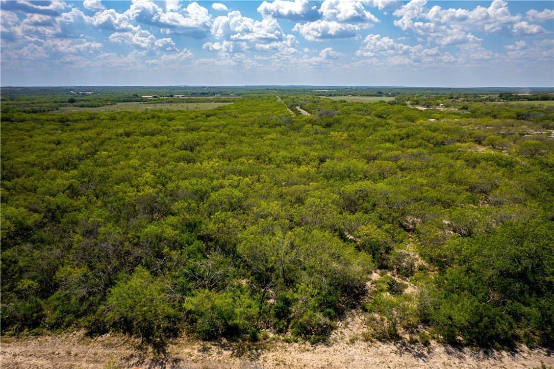 10.81 acres in Live Oak County - photo 17