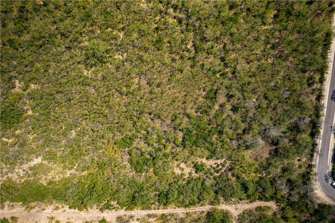 10.81 acres in Live Oak County - photo 20