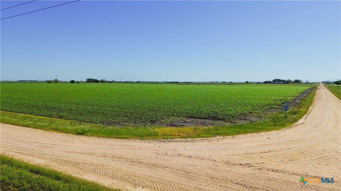 11 acres in Wharton County - photo 5