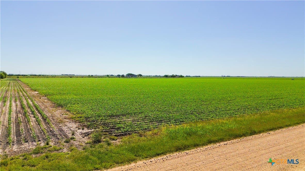 11 acres in Wharton County - photo 6