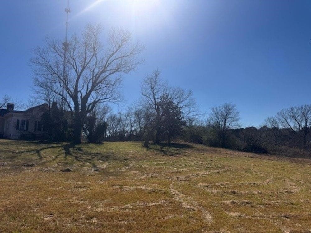 44.99 acres in Panola County - photo 18