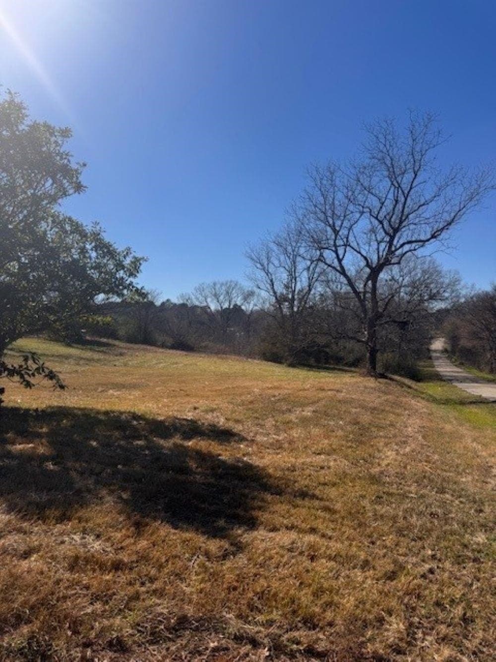 44.99 acres in Panola County - photo 21