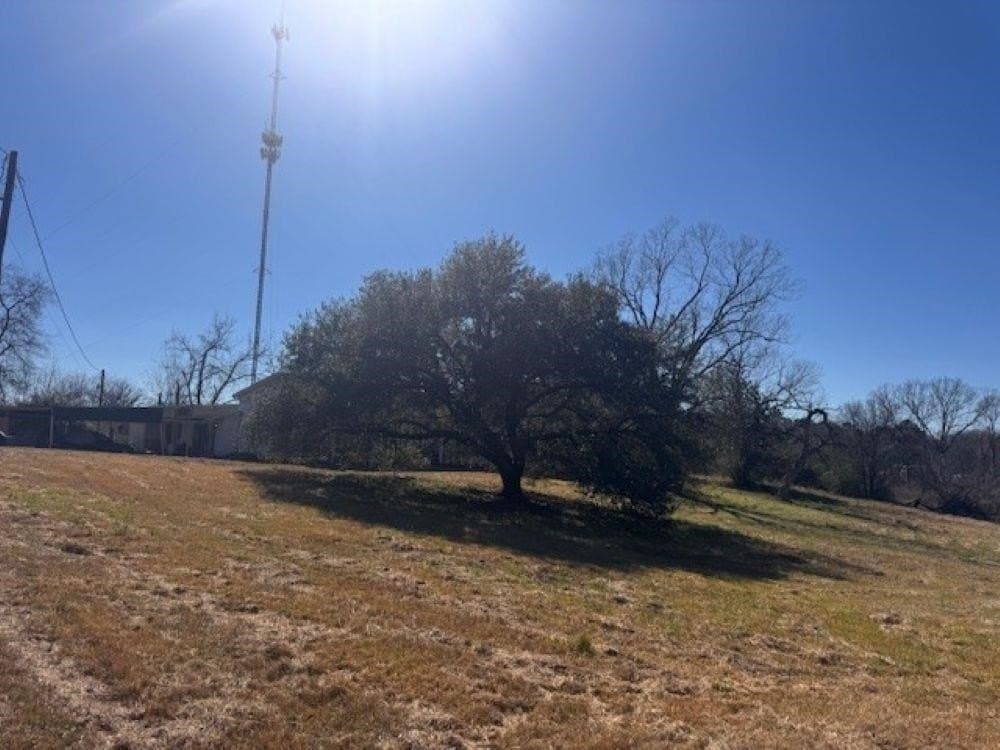 44.99 acres in Panola County - photo 19
