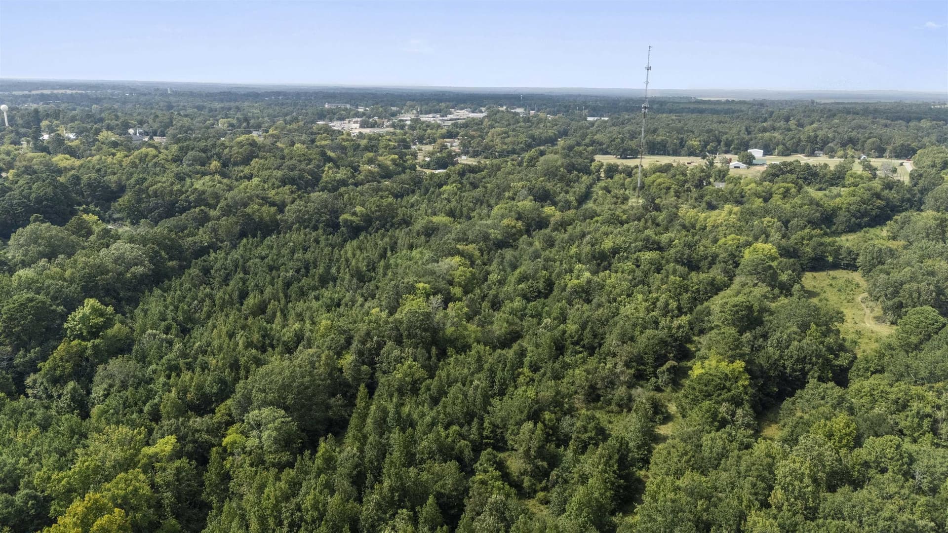 44.99 acres in Panola County - photo 9