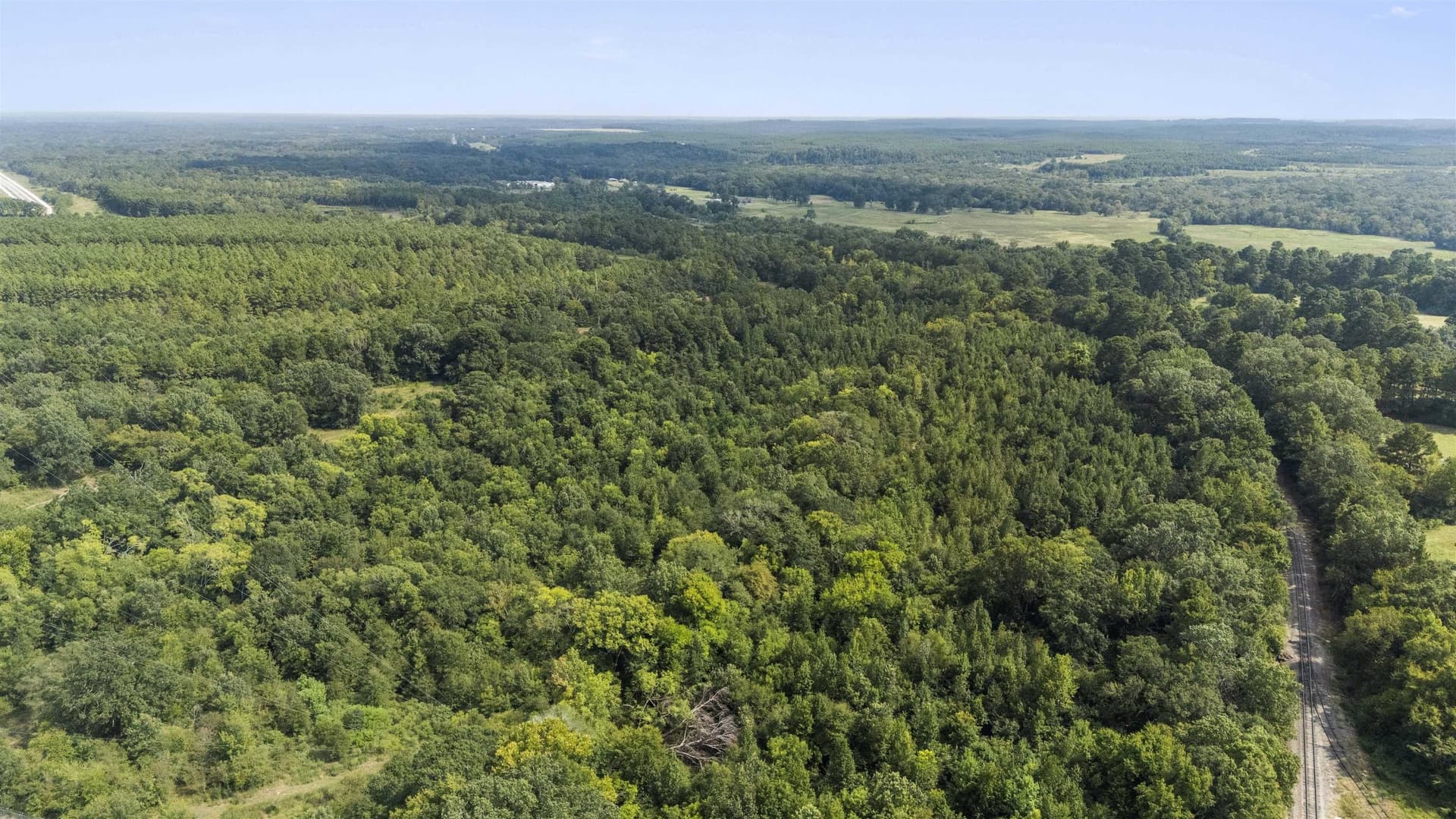 44.99 acres in Panola County - photo 4