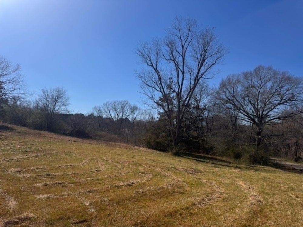 44.99 acres in Panola County - photo 17