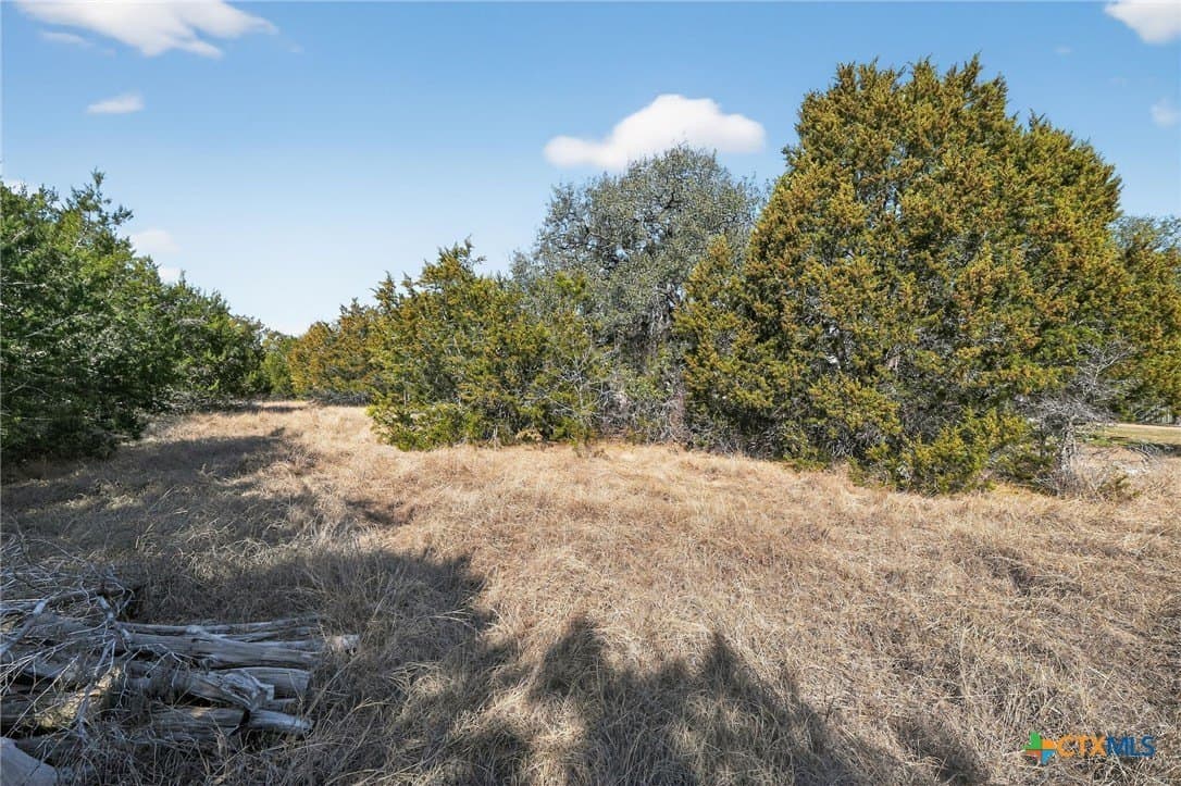 2.29 acres in Bell County - photo 10