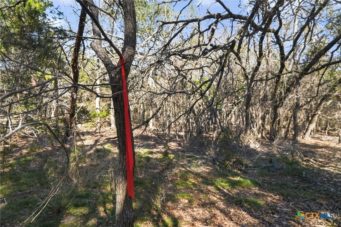 2.29 acres in Bell County - photo 3