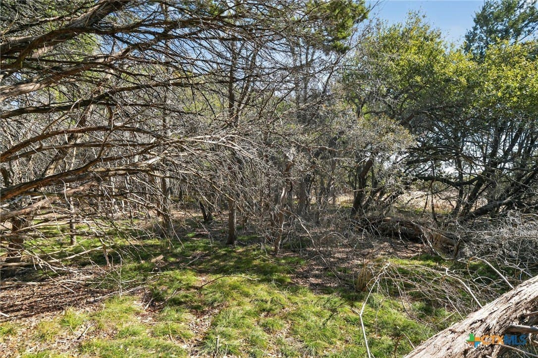 2.29 acres in Bell County - photo 13