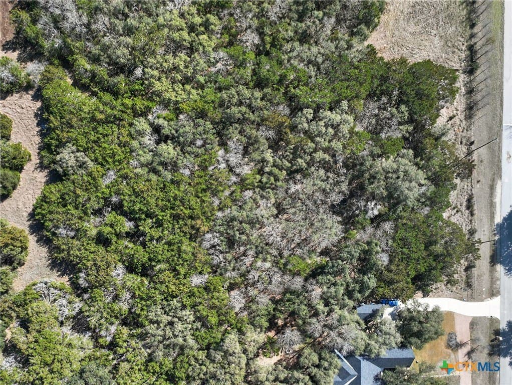 2.29 acres in Bell County - photo 17