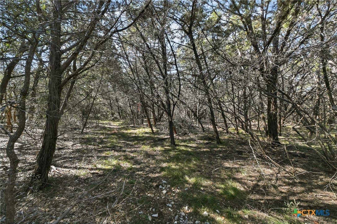 2.29 acres in Bell County - photo 14
