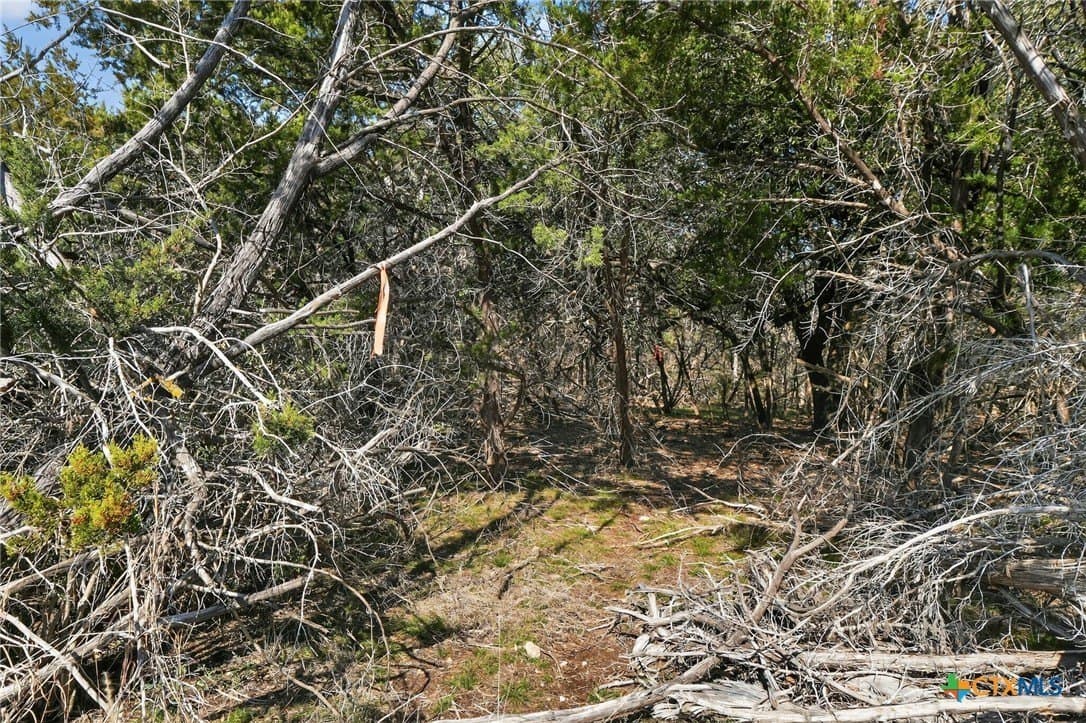 2.29 acres in Bell County - photo 5